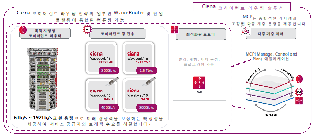 Ciena's Coherent Routing with WaveRouter in Korean